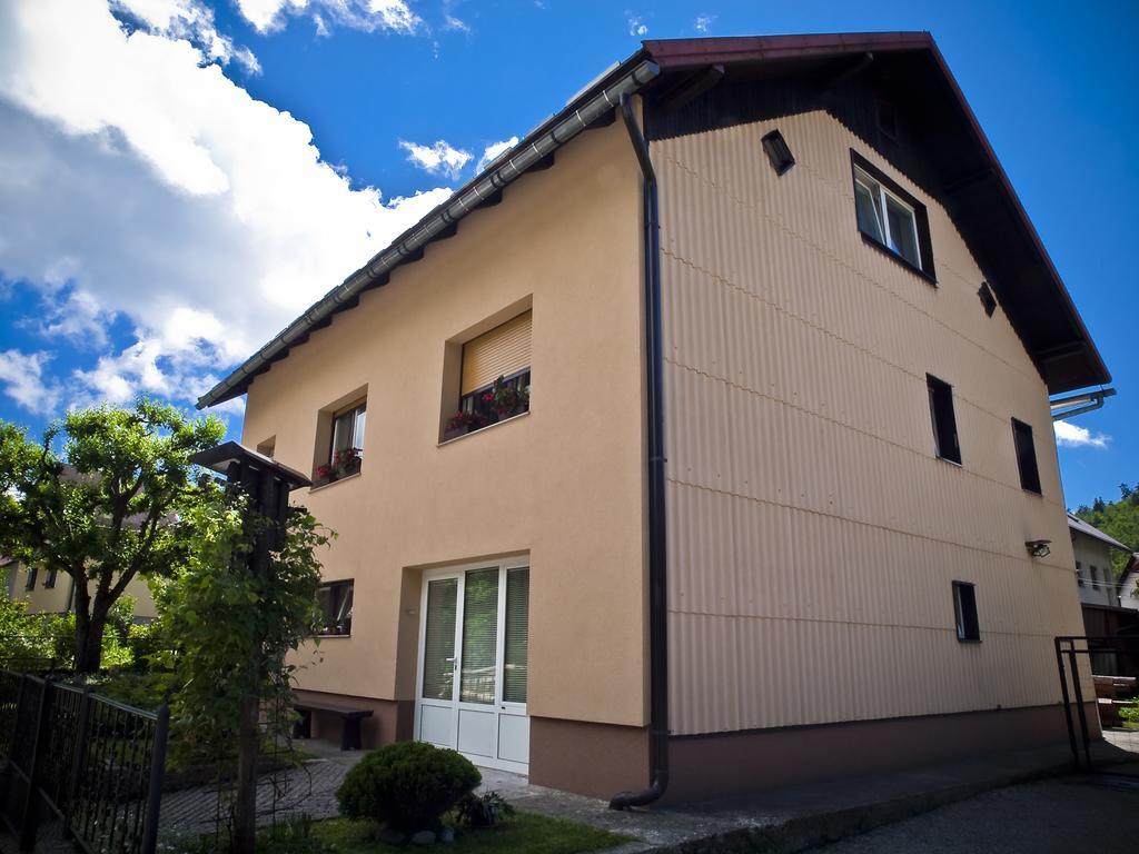Apartments Gale Delnice Exterior foto